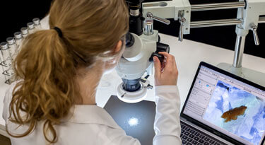 SaltWorks® certified Food Scientist evaluating salt under a microscope
